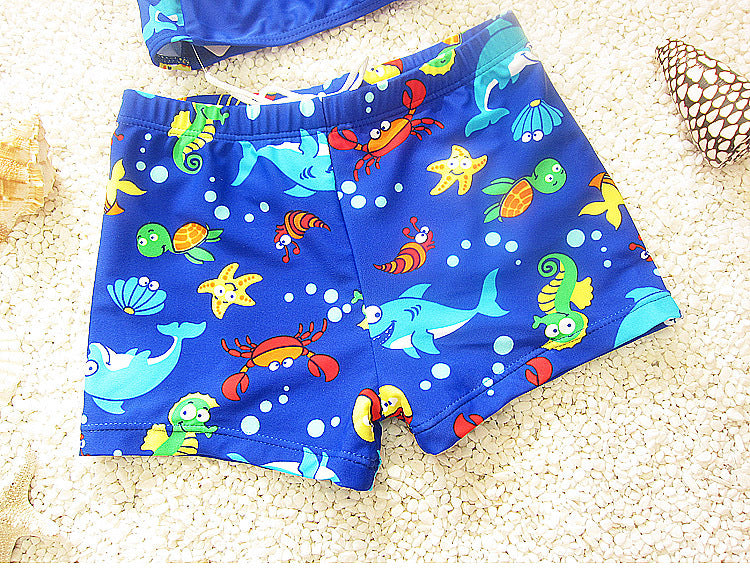 Boys Little Fish Swim Shorts & Cap, Size S-XXL