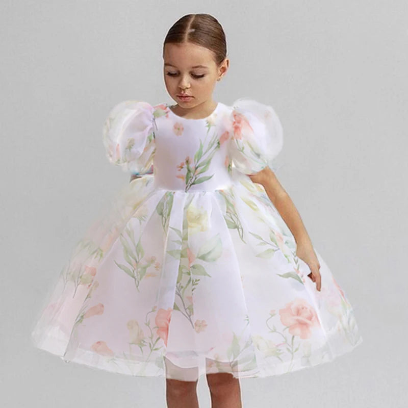 Floral Puff Sleeve Party Dress (2-6 Yrs)