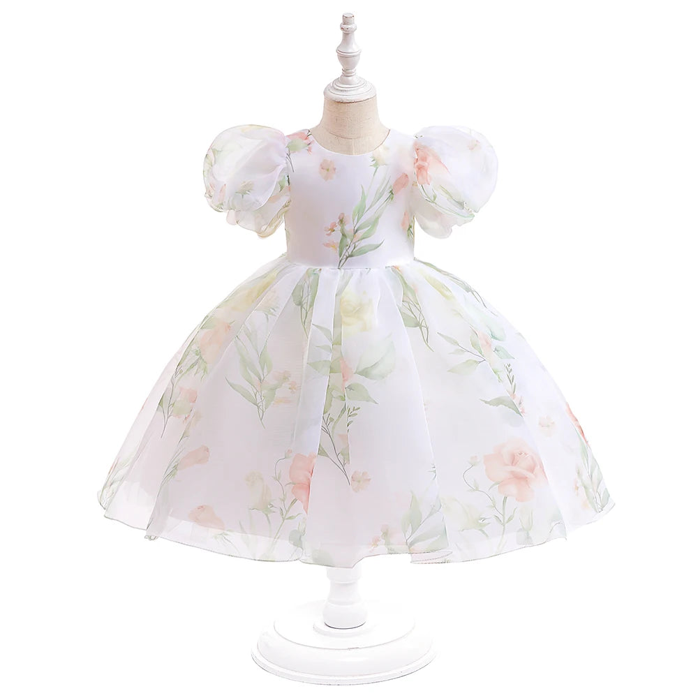 Floral Puff Sleeve Party Dress (2-6 Yrs)