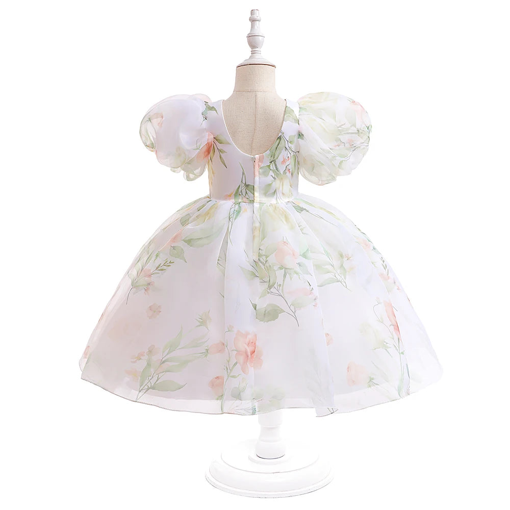Floral Puff Sleeve Party Dress (2-6 Yrs)