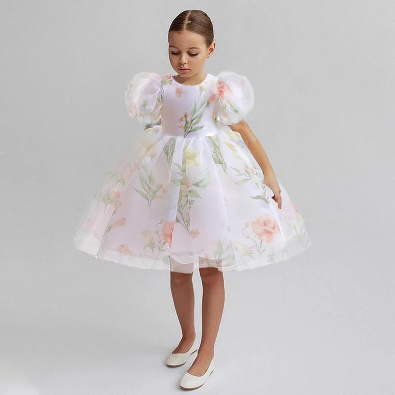 Floral Puff Sleeve Party Dress (2-6 Yrs)