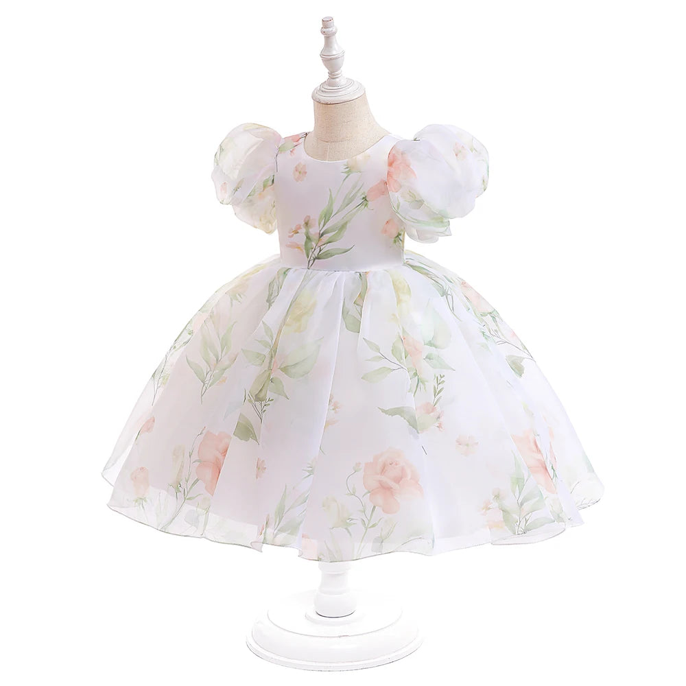 Floral Puff Sleeve Party Dress (2-6 Yrs)