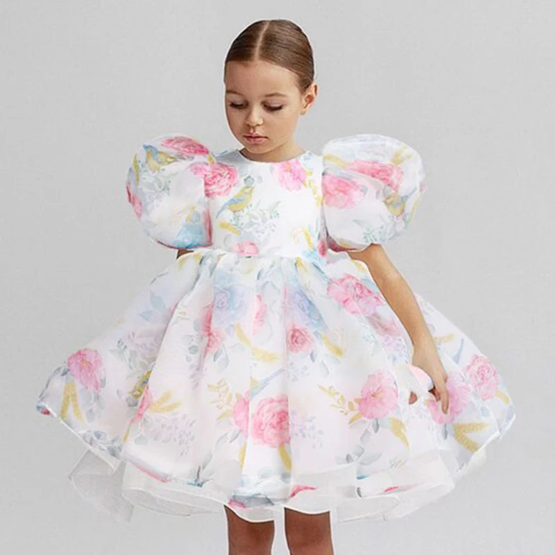 Floral Puff Sleeve Party Dress (2-6 Yrs)