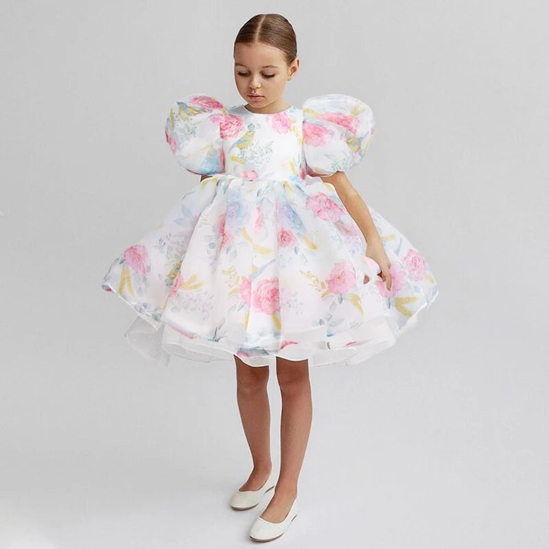 Floral Puff Sleeve Party Dress (2-6 Yrs)