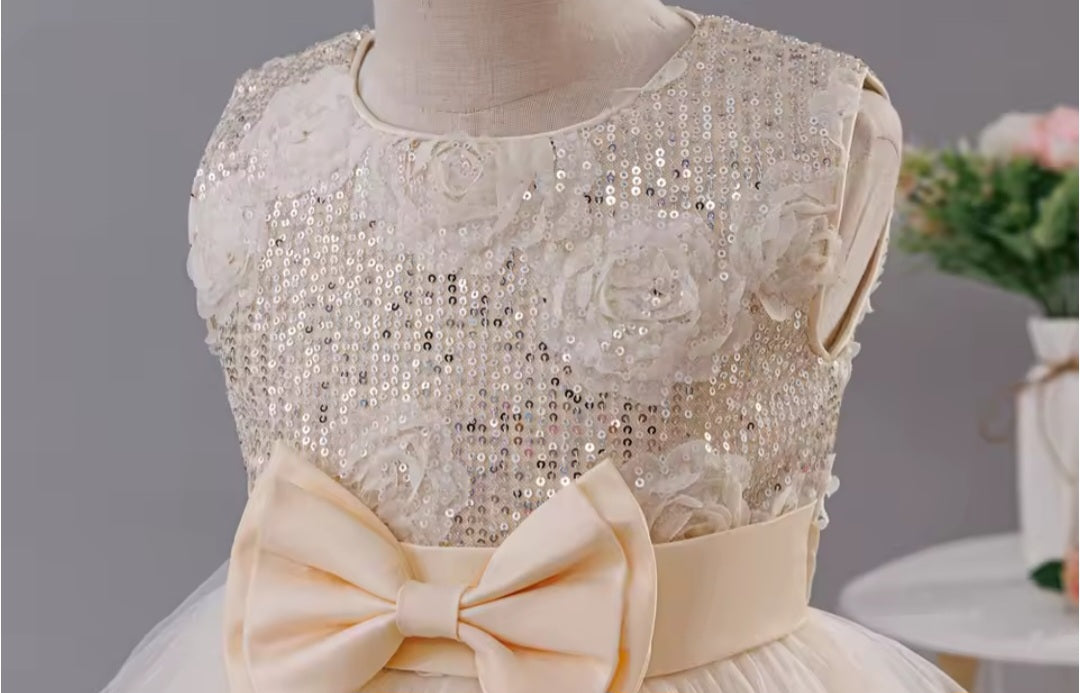 Champagne Sequin Tiered Dress (2-10 Yrs)