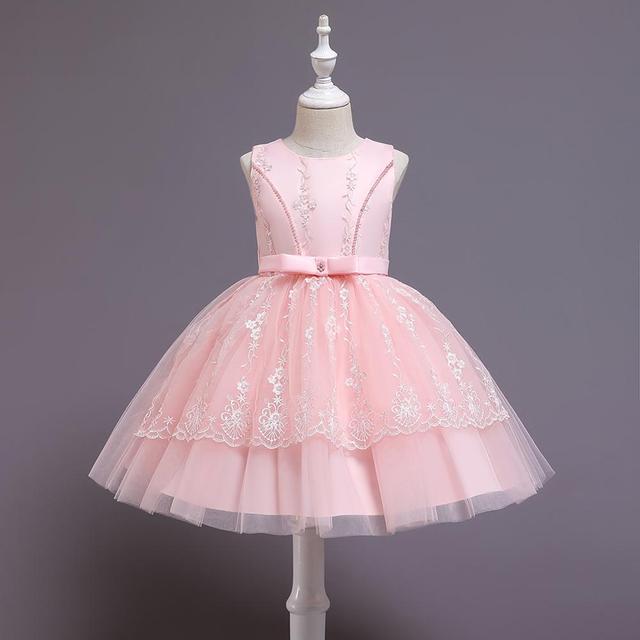 Embroidered Tulle Dress (3-8 Yrs)