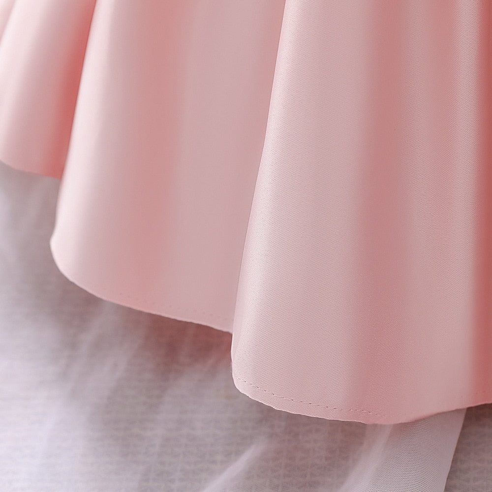 Pink Ball Gown Party Dress (6M-10Yrs)