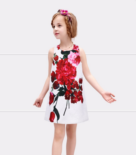 Rose Print Dress, White, Size 2-8 Yrs