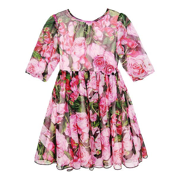 Girls Chiffon Rose Dress, Size 3-6 Yrs