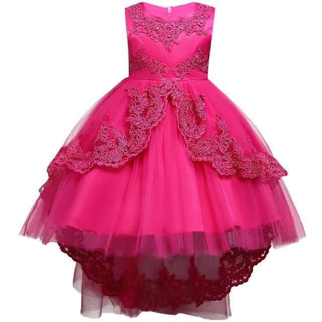 Girls Swallowtail Embroidered Pink Dress, Size 3-14yrs