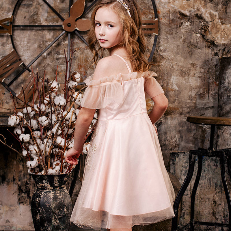 Frilled embroidered Party Dress, Size 3-10 Years