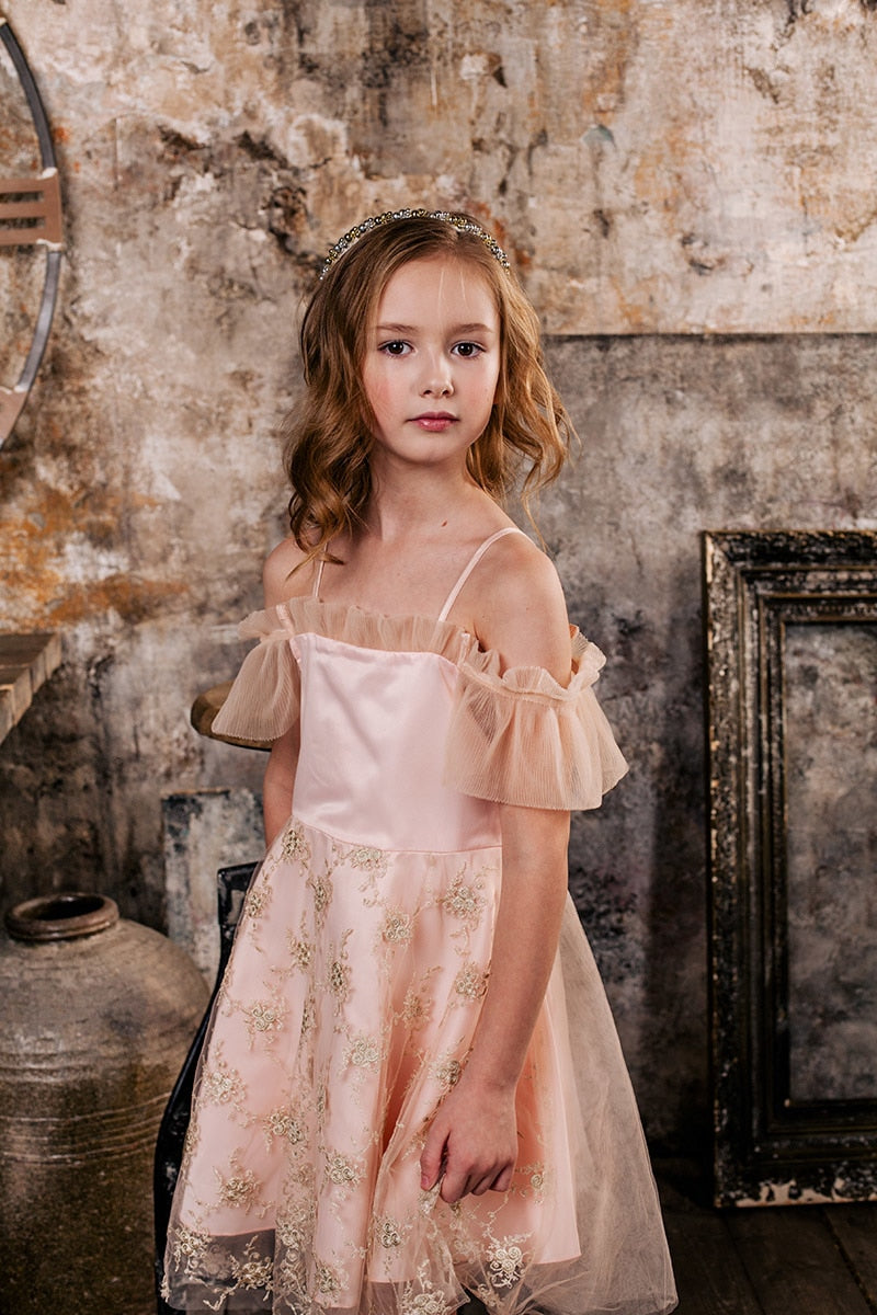 Frilled embroidered Party Dress, Size 3-10 Years